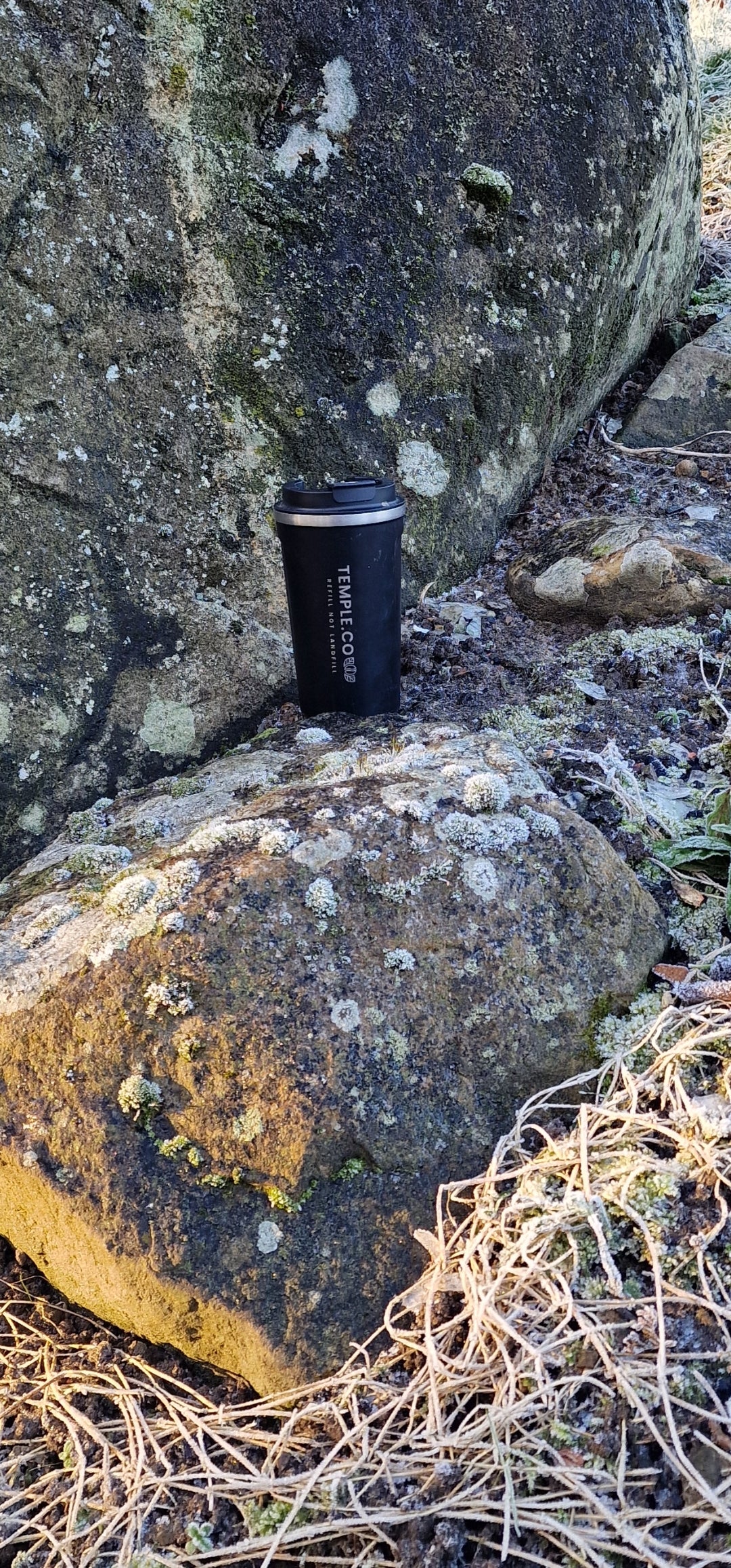 Temple.co Smart Temperature Display Cup